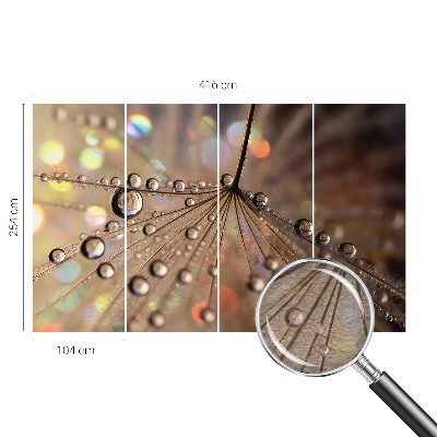 Fotografická tapeta vliesová Perlové kapky