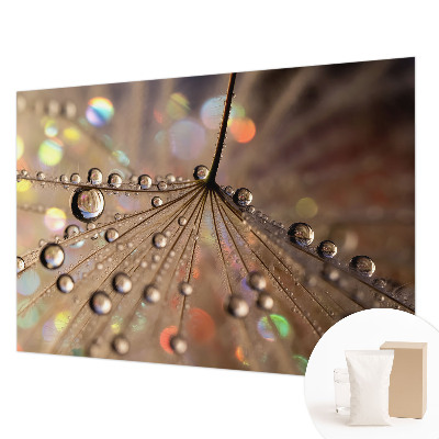 Fotografická tapeta vliesová Perlové kapky