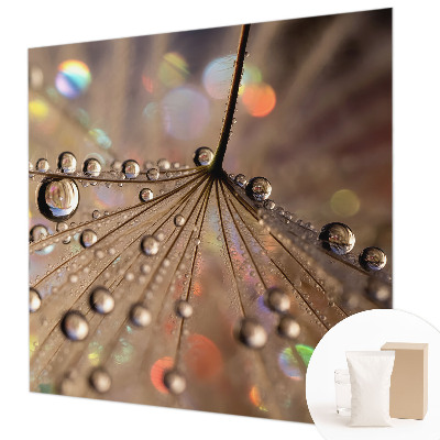 Fotografická tapeta vliesová Perlové kapky