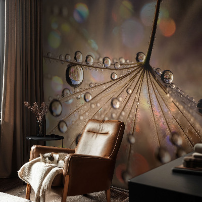 Fotografická tapeta vliesová Perlové kapky