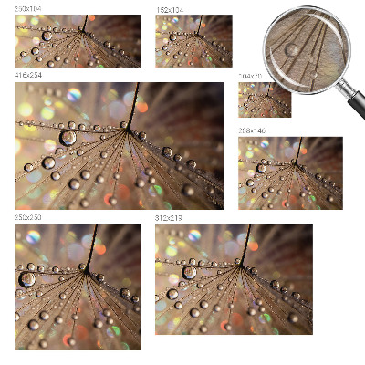 Fotografická tapeta vliesová Perlové kapky