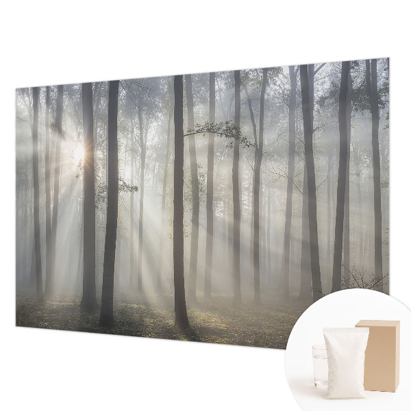 Fototapeta na míru do ložnice Éterický les
