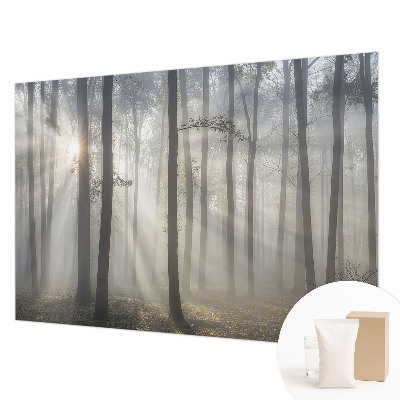 Fototapeta na míru do ložnice Éterický les