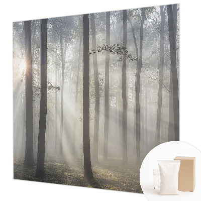 Fototapeta na míru do ložnice Éterický les