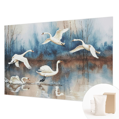 Fototapeta na zeď Ptáci za letu