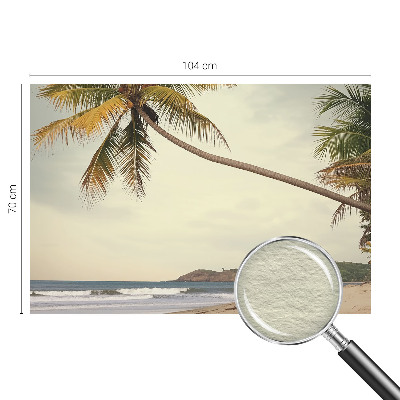 Dekorativní fototapeta na zeď Tropická krajina