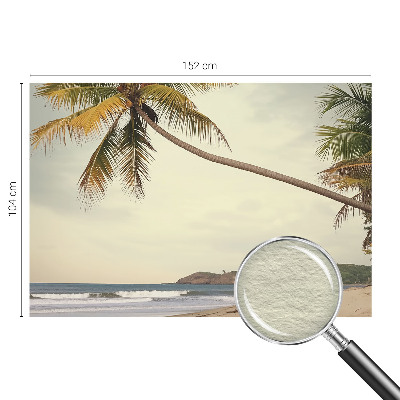 Dekorativní fototapeta na zeď Tropická krajina