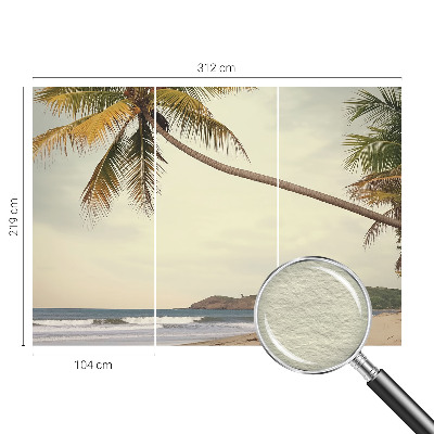 Dekorativní fototapeta na zeď Tropická krajina