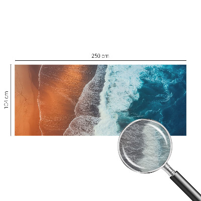 Fototapeta do obýváku Mořská symbióza