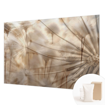 Fototapeta do ložnice Jemné pampelišky