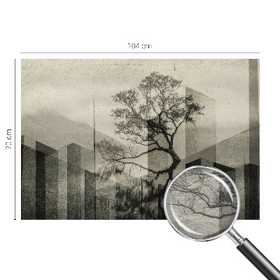 Moderní fototapeta na míru Syrová elegance