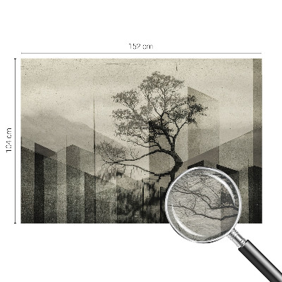Moderní fototapeta na míru Syrová elegance