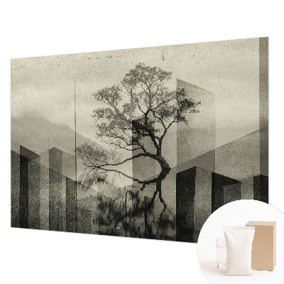 Moderní fototapeta na míru Syrová elegance