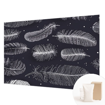 Fotografická tapeta na vliesu Jemné peří