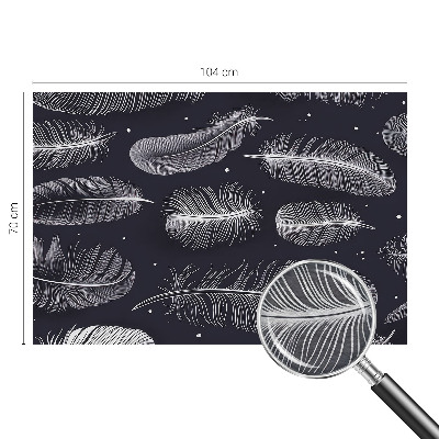 Fotografická tapeta na vliesu Jemné peří