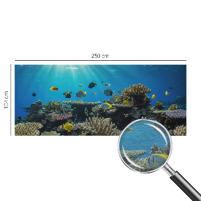 Fototapeta na míru do ložnice Podvodní svět