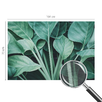 Fototapeta na stěnu Zelená příroda