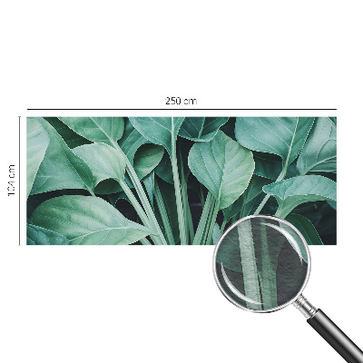 Fototapeta na stěnu Zelená příroda