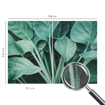 Fototapeta na stěnu Zelená příroda