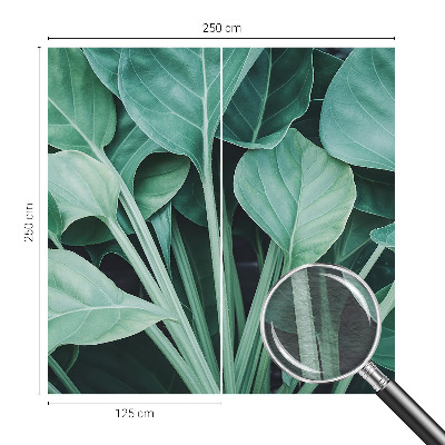 Fototapeta na stěnu Zelená příroda