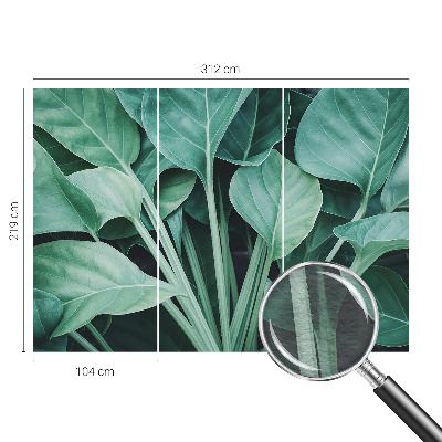 Fototapeta na stěnu Zelená příroda