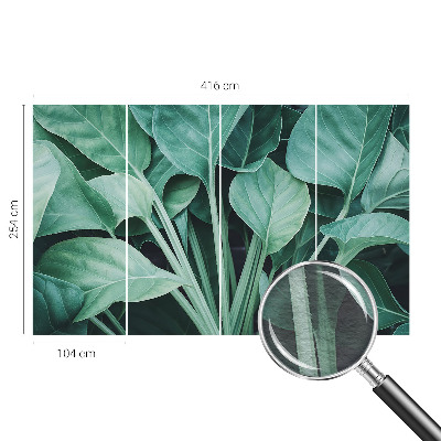 Fototapeta na stěnu Zelená příroda