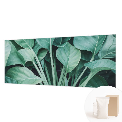 Fototapeta na stěnu Zelená příroda