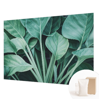 Fototapeta na stěnu Zelená příroda