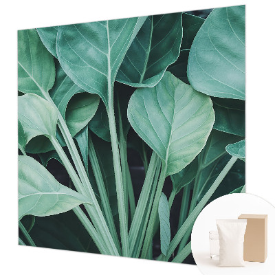 Fototapeta na stěnu Zelená příroda