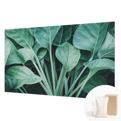 Fototapeta na stěnu Zelená příroda