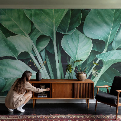 Fototapeta na stěnu Zelená příroda