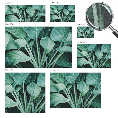 Fototapeta na stěnu Zelená příroda