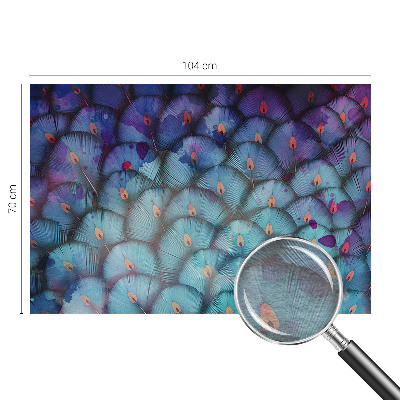 Fototapeta na stěnu Barevné peří