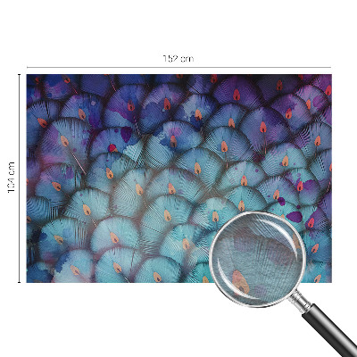 Fototapeta na stěnu Barevné peří