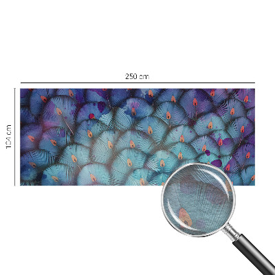 Fototapeta na stěnu Barevné peří