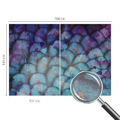 Fototapeta na stěnu Barevné peří