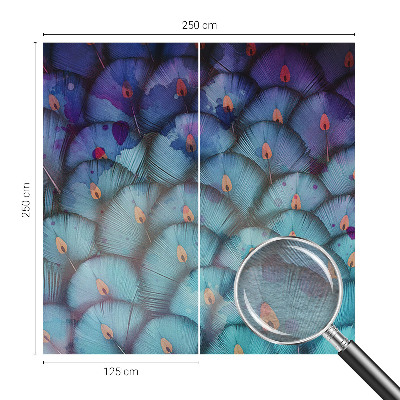 Fototapeta na stěnu Barevné peří