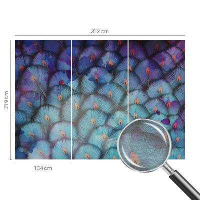 Fototapeta na stěnu Barevné peří