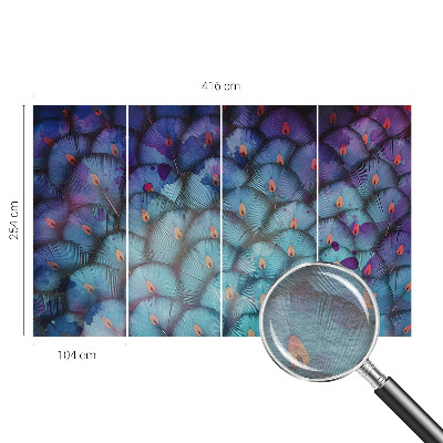 Fototapeta na stěnu Barevné peří