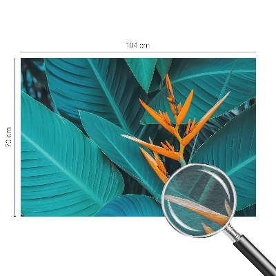 Fototapeta do obýváku Listnaté květy