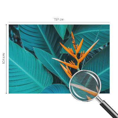 Fototapeta do obýváku Listnaté květy