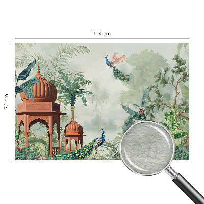 Fototapeta do obýváku Paví zahrady