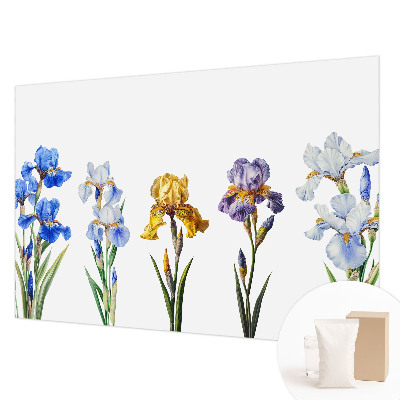 Vliesová fototapeta do obýváků Květy kosatců