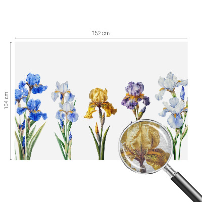 Vliesová fototapeta do obýváků Květy kosatců