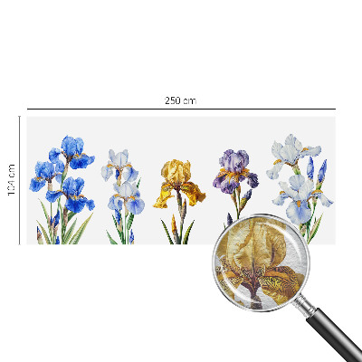 Vliesová fototapeta do obýváků Květy kosatců