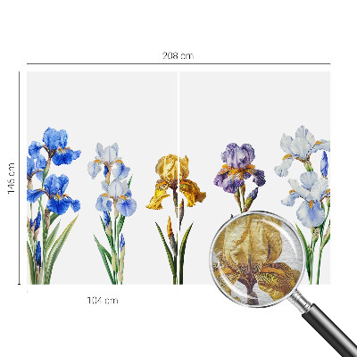 Vliesová fototapeta do obýváků Květy kosatců