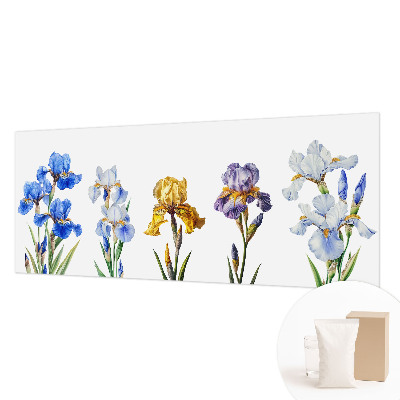 Vliesová fototapeta do obýváků Květy kosatců