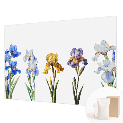 Vliesová fototapeta do obýváků Květy kosatců