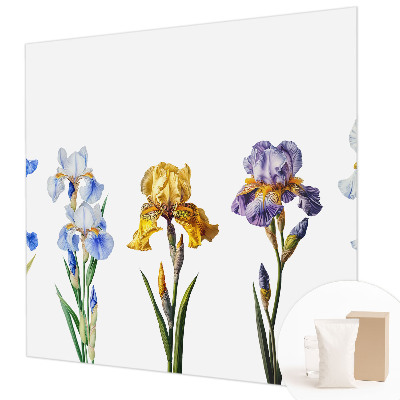 Vliesová fototapeta do obýváků Květy kosatců