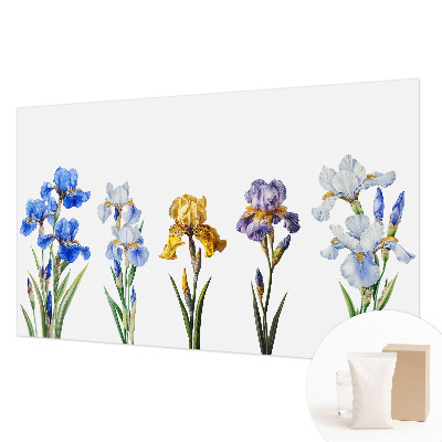 Vliesová fototapeta do obýváků Květy kosatců